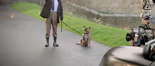 Povestea cu final fericit a celui mai singur câine din lume, ajuns star de cinema alături de Anthony Hopkins