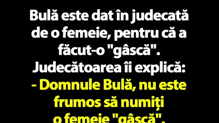 BANC | Bulă este dat în judecată de o femeie