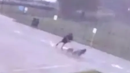VIDEO | A supraviețuit ca prin minune: Își plimba liniștit câinii când a fost lovit de fulger / Martorii: Avea tricoul ars. Credeam că nu va supraviețui
