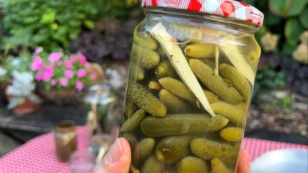 Un mare lanț de mâncare din Marea Britanie, la un pas de a lua o decizie drastică din cauza unei crize de castraveciori murați