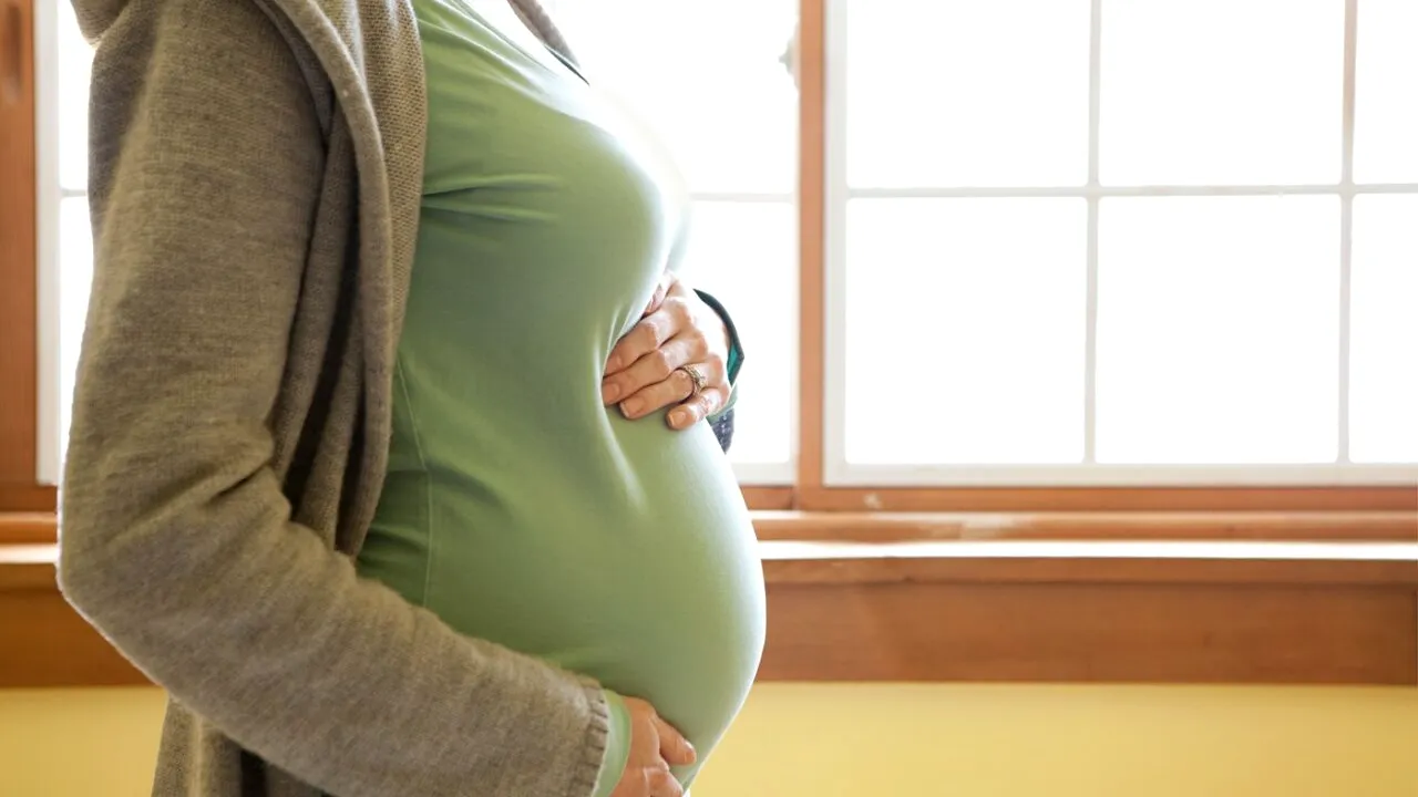 O româncă ÎNSĂRCINATĂ în șapte luni a mers 2.500 km cu autocarul pentru a se prezenta la un proces. Era acuzată de furturi minore din magazin