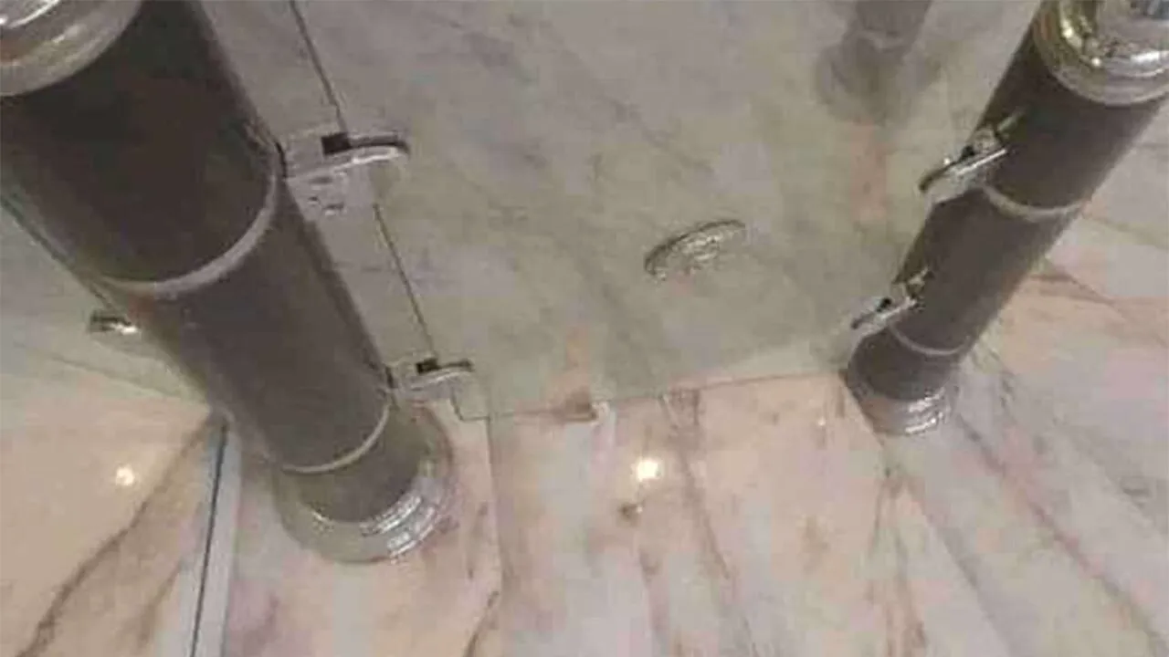 Iluzie optică virală | Găsiți pisica ascunsă în această imagine, în cel mult 5 secunde!