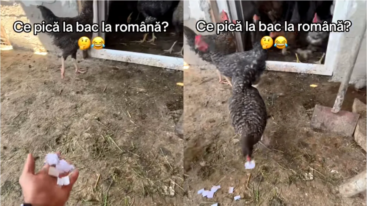 Nu te-ai fi așteptat! Metoda neconvențională folosită de un elev de clasa a XII-a  pentru a afla ce subiecte pică la BAC: „Știam eu!”