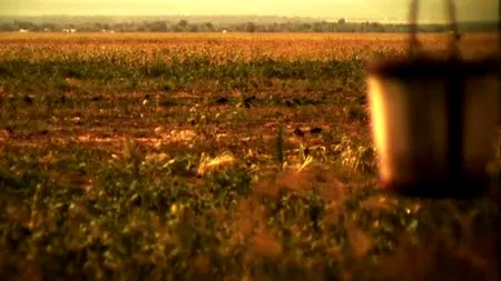 „ROMÂNIA, TE IUBESC!