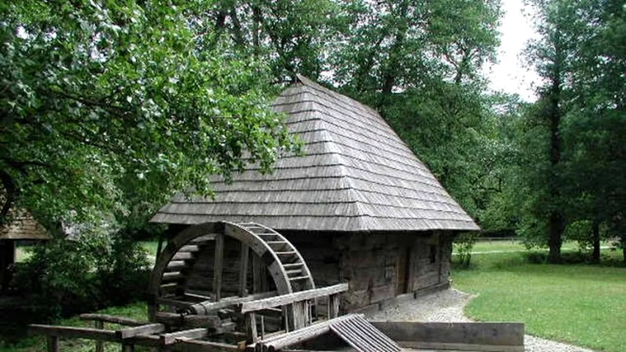 Mori vechi de 300 de ani, oprite din cauza secetei