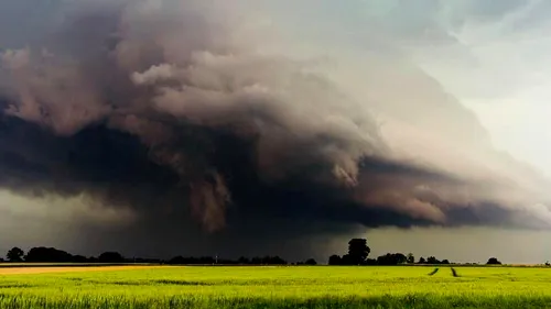 Inundații. MADR: Fenomenele meteo extreme au produs pagube pe o suprafaţa de 4.665 hectare de culturi agricole. Unde sunt cele mai mari pierderi