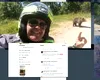 Ursul a lovit din nou, în Argeș. După ce-a omorât un motociclist, animalul a alergat un cioban. Omul și-a rupt piciorul încercând să scape