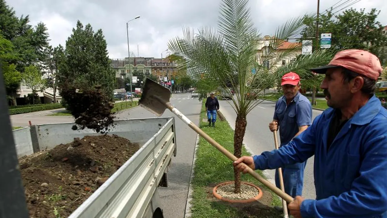 TIMIȘ. Unde au mers banii publici în 2014. Topul firmelor care au contracte locale cu statul