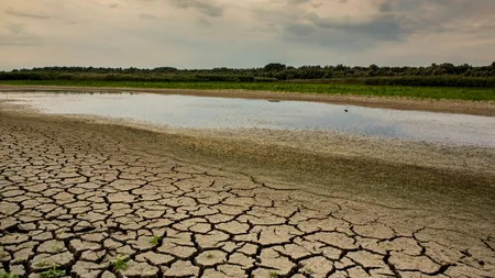 La un pas de EXTINCȚIE: Biosfera planetei se află în cel mai avansat stadiu de degradare