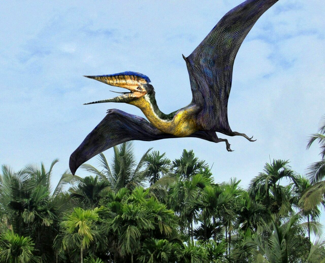 Hatzegopteryx. Sursa Foto: Profimedia 