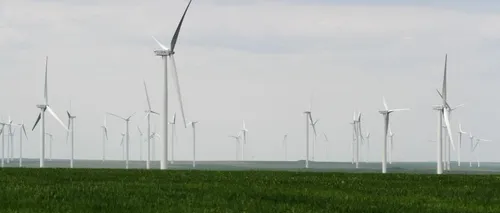 Percheziții la firme din domeniul energiei eoliene. Acestea sunt suspectate de fraudarea de fonduri UE