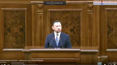 Codru-i frate cu noul COD SILVIC/Lemnul pentru mobilă va avea cod QR, iar falsul informatic din SUMAL 2.0 se incriminează