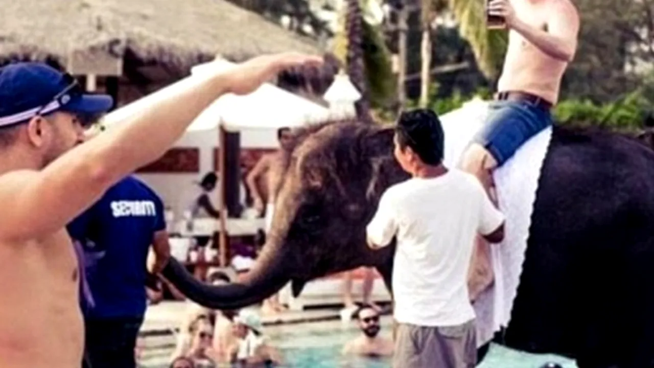 Imaginile rușinii: un elefant, chinuit de mai mulți petrecăreți din Thailanda