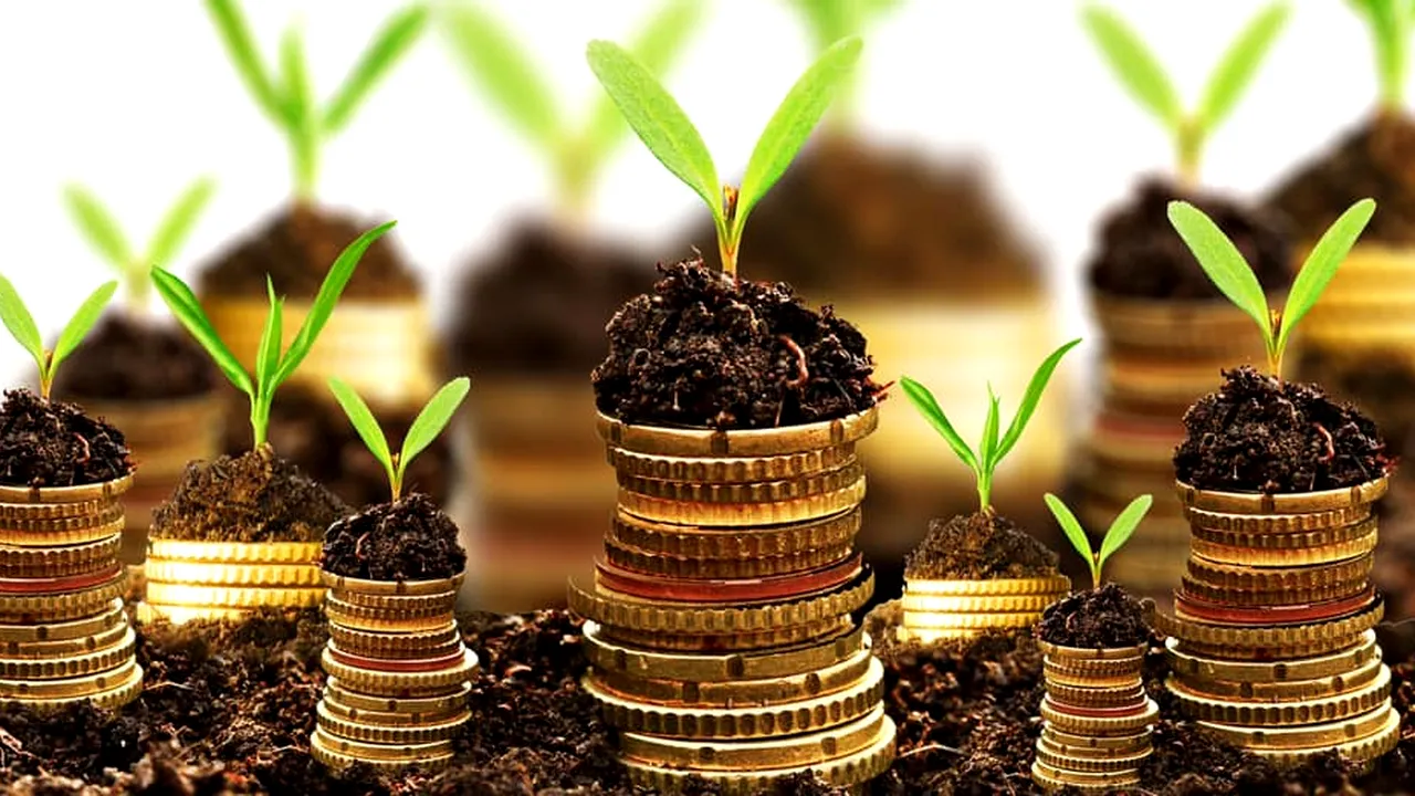 EXCLUSIV GANDUL FINANCIAR: AGRO IMM INVEST. Valoarea finanțărilor solicitate în două săptămâni se apropie de 3,5 miliarde lei. Programul se va prelungi până la sfarșitul anului
