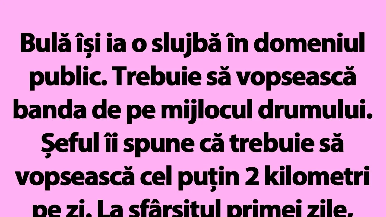 BANC | Bulă își ia o slujbă în domeniul public