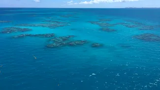 UE, cu „ochii” pe oceanele lumii. Ce este proiectul OceanEye, lansat de Comisia Europeană
