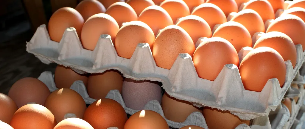 Marea Britanie se confruntă cu cea mai gravă epidemie de gripă aviară. Sunt deja restricţii la achiziţiile de ouă și se așteaptă o criză a cărnii