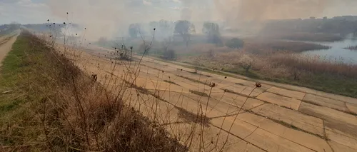 Incendiu puternic în Delta Văcărești. Pompierii s-au luptat cu flăcările pe o suprafață de 10.000 de metri pătrați