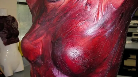 O nouă modă la femei? Ce se întâmplă când imaginația o ia razna. GALERIE FOTO