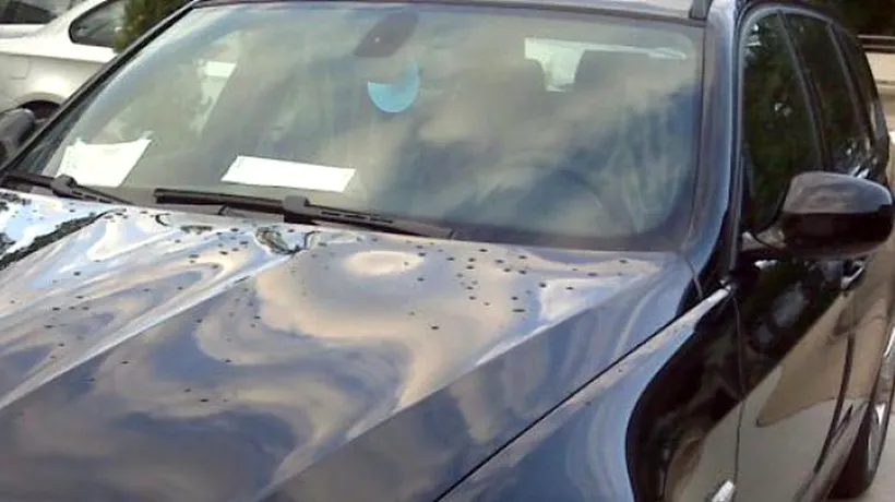 Ce a găsit un român într-o mașină cumpărată cu 2.000 de euro