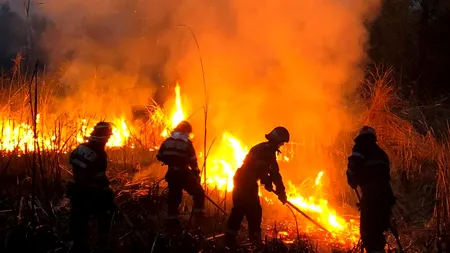 Incendiu de vegetație în Tulcea. În zonă nu se poate interveni cu autospecialele de stingere