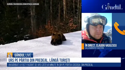 GÂNDUL LIVE. Ce spun specialiștii despre monitorul de schi de la Predeal, care „s-a jucat” cu ursul pentru a salva turiștii: A procedat ca la carte