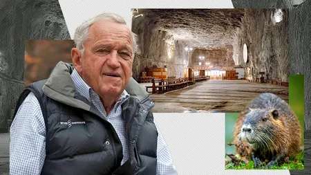 Fața nevăzută a dezastrului de la PRAID. Cine este miliardarul implicat în aducerea castorilor care au blocat lucrările pentru devierea pârâului Corund