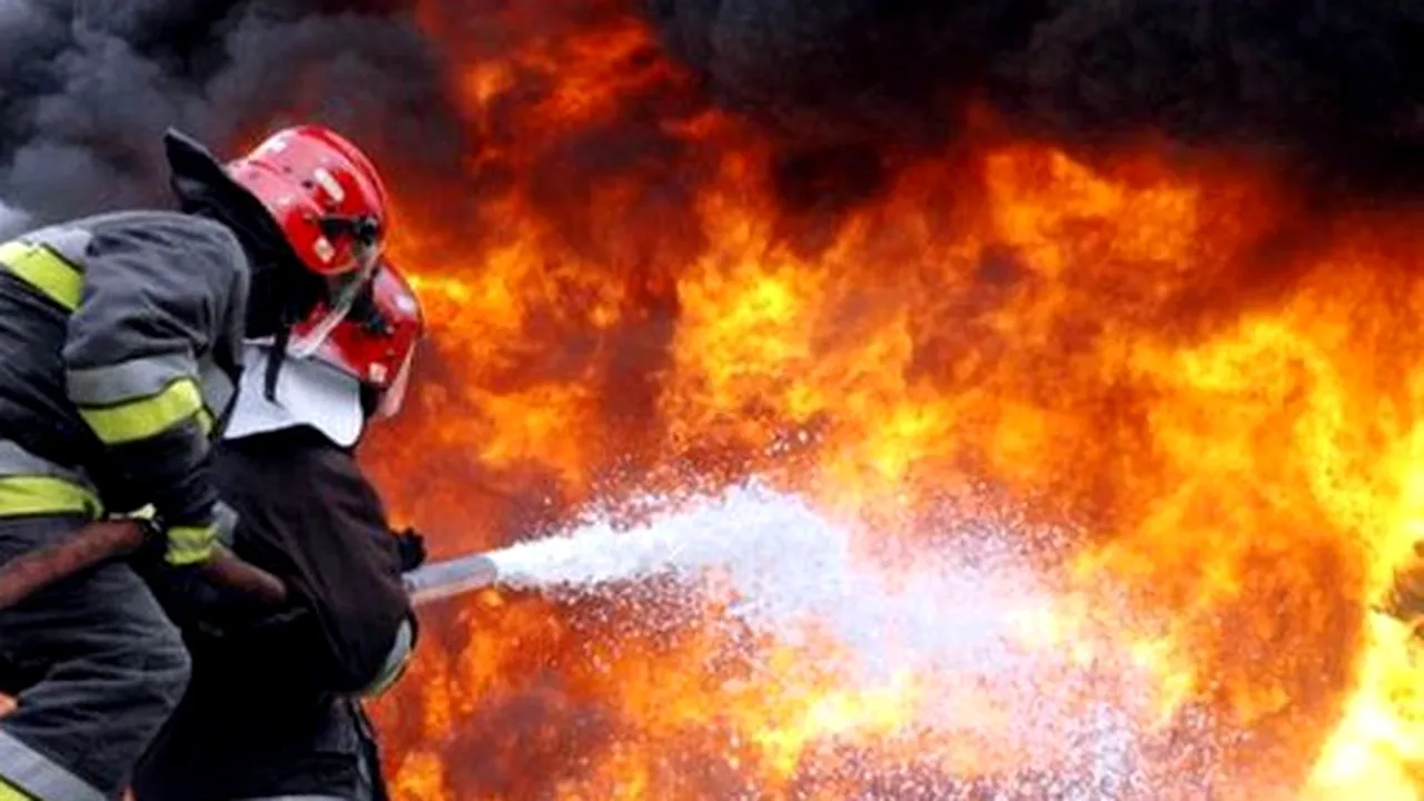 Incendiu în curtea fabricii de cherestea Holzindustrie Schweighofer. Ce explicații dau reprezentanții firmei 