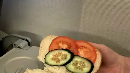 Ce a primit un pasager, în avion, după ce a comandat un sandviș VEGETARIAN: 