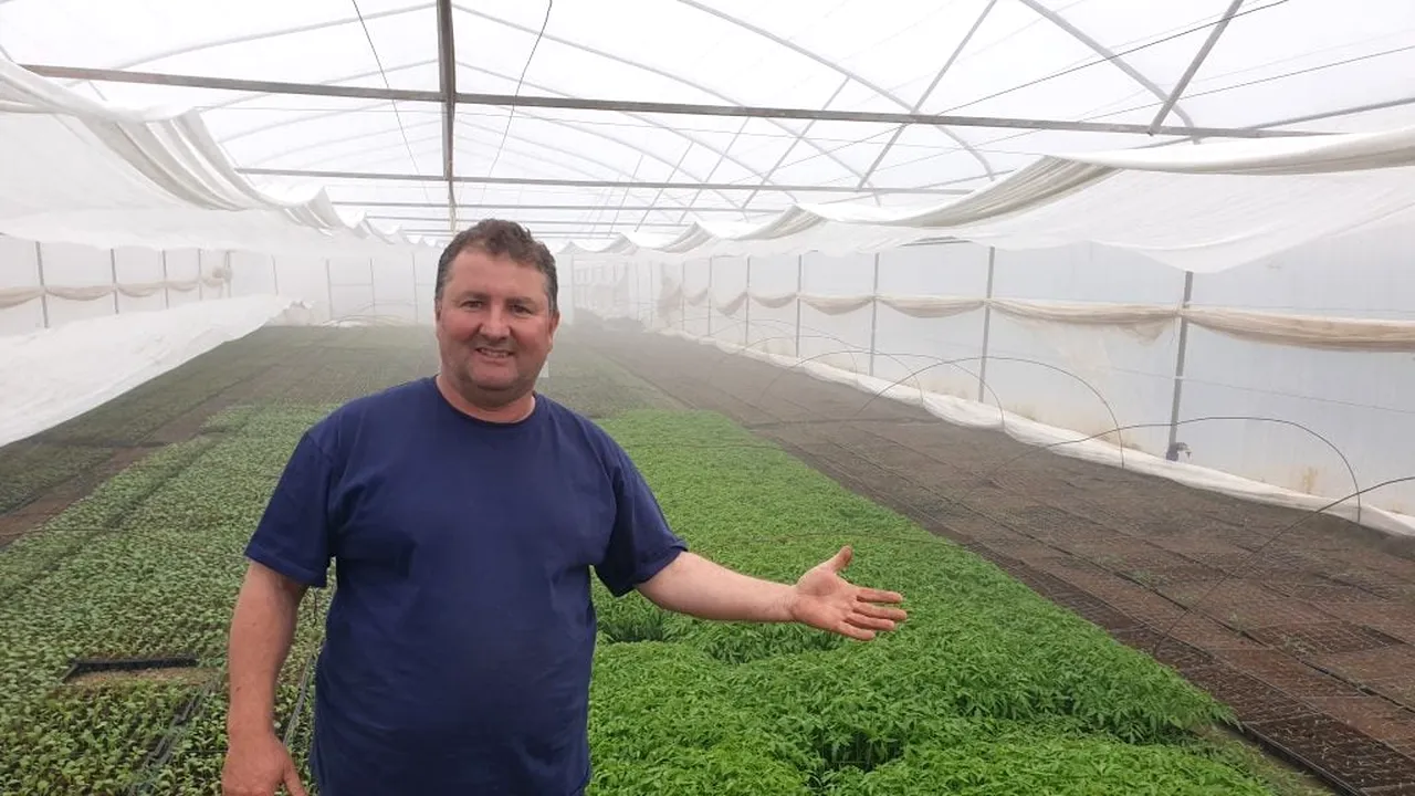 Afacerea cu care a dat lovitura Ionel, după ce s-a întors din Italia: „Toți cei care lucrează în acest domeniu CÂȘTIGĂ, dar nu recunosc”