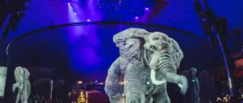 Demers inedit: Primul circ din lume care folosește holograme 3D ale animalelor. Care este motivul umanitar - VIDEO