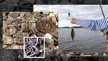 A plecat să caute râme și a găsit o comoară. Ce a descoperit un pescar din Suedia