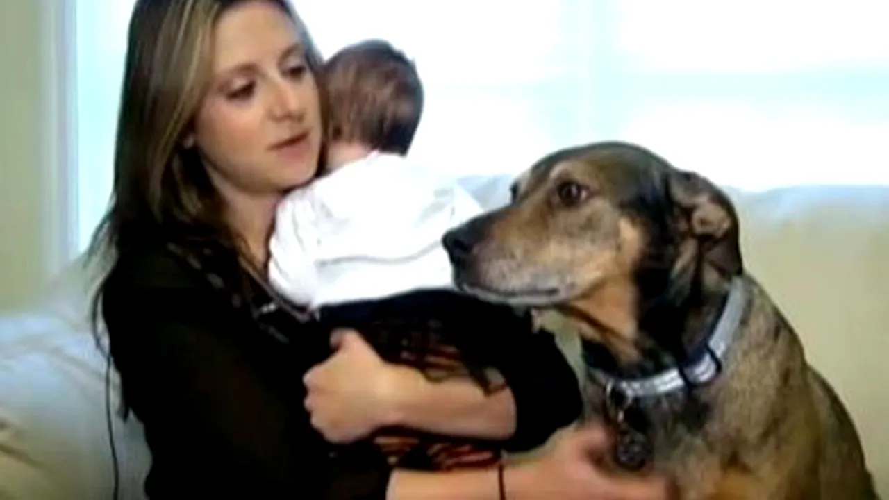 Un câine luat dintr-un adăpost a salvat de la moarte fetița de doar 9 luni a stăpânilor săi. VIDEO