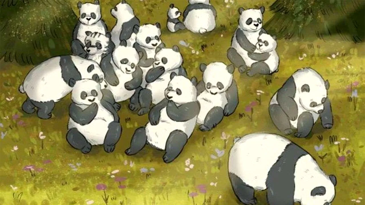 Iluzie optică VIRALĂ | 98% nu reușesc! Găsiți ratonul ascuns printre urșii panda din imagine