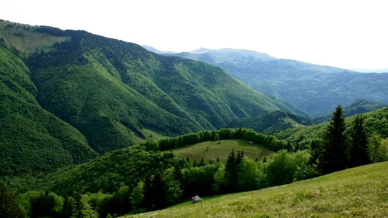 Parcul Natural Munții Maramureșului, inclus în topul mondial al zonelor „de neînlocuit
