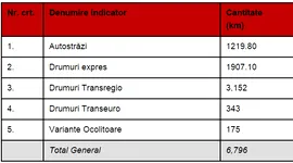 Poza 1