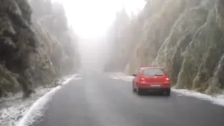 Parcul Natural Putna, DEVASTAT de o ploaie înghețată