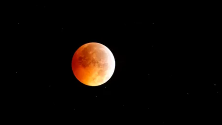 Două planete care seamănă cel mai mult cu Terra, descoperite de telescopul Kepler