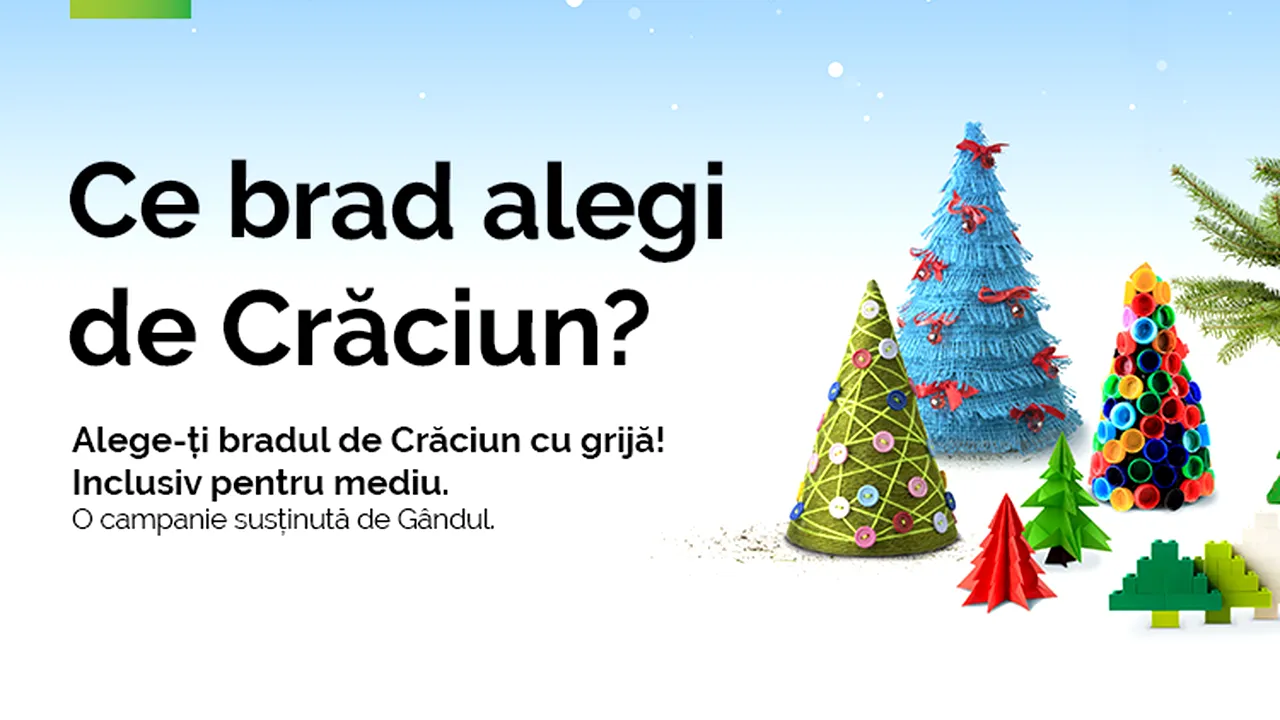 Bradul de Crăciun, mai mult decât un ornament. Cum îl putem alege cu responsabilitate 