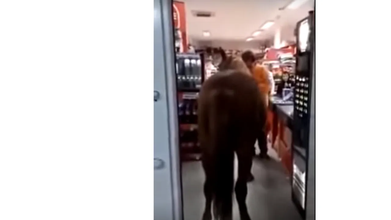 Incredibil! Un bărbat din Buzău a intrat cu un cal într-un magazin | VIDEO