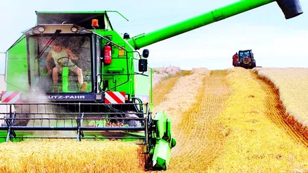 Schimbare majoră la unul din cei mai mari jucători de pe piața locală de agri-business