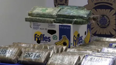 Tone de droguri, ascunse printre banane, cu destinația Belgia