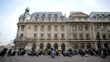 DECIZIE. Guvernul a aprobat proiectele de restaurare a Palatului Universității din București și a clădirii ASE de pe Dacia. La cât se ridică investițiile și cât vor dura lucrările