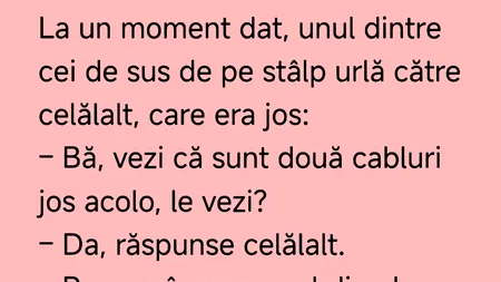 BANCUL ZILEI | Doi muncitori lucrau la un stâlp de înaltă tensiune