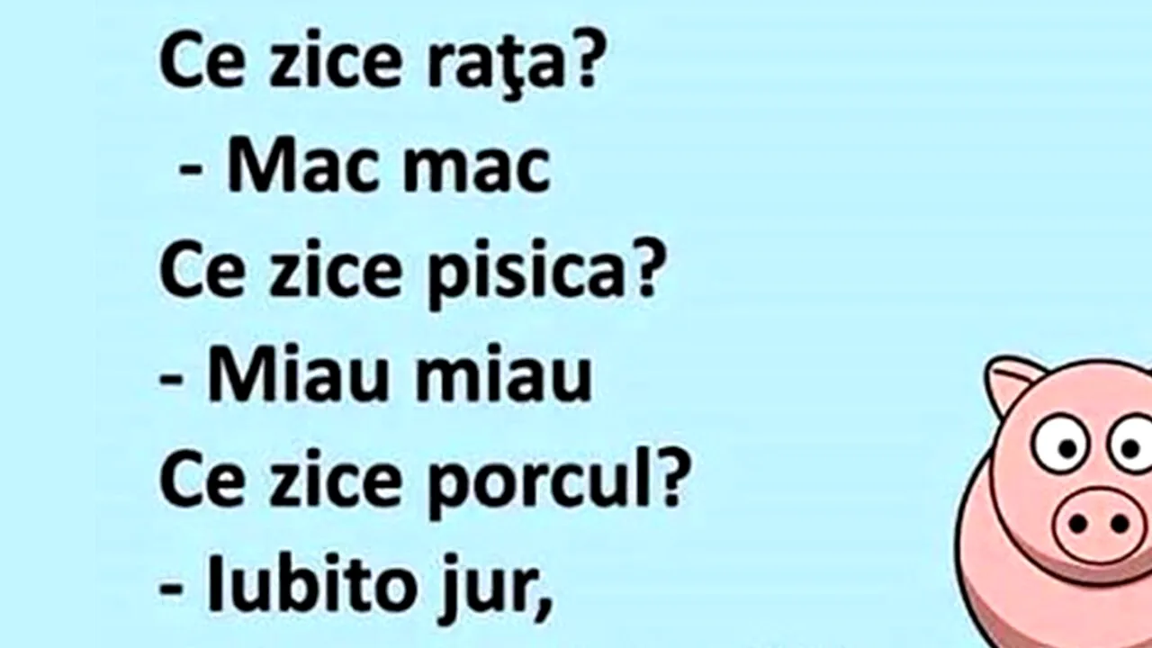 Bancul de sâmbătă | Ce zice porcul?