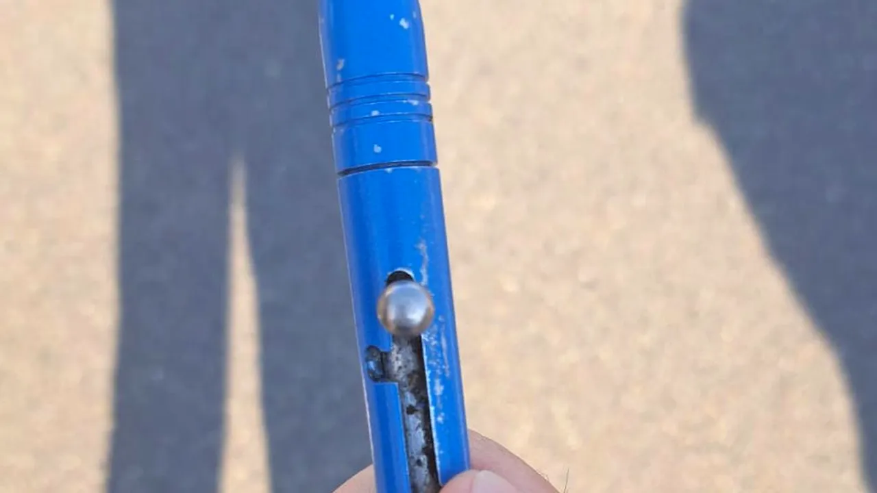 Spectator bulgar, prins cu o ARMĂ letală sub formă de pix la concertul Guns N' Roses de pe Arena Națională din București