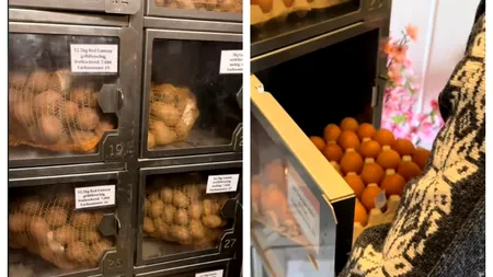 Un leu un ou, direct de la fermă, în Germania. Un cuplu de români compară prețurile din Norden cu cele de la noi. Cât costă laptele la ei