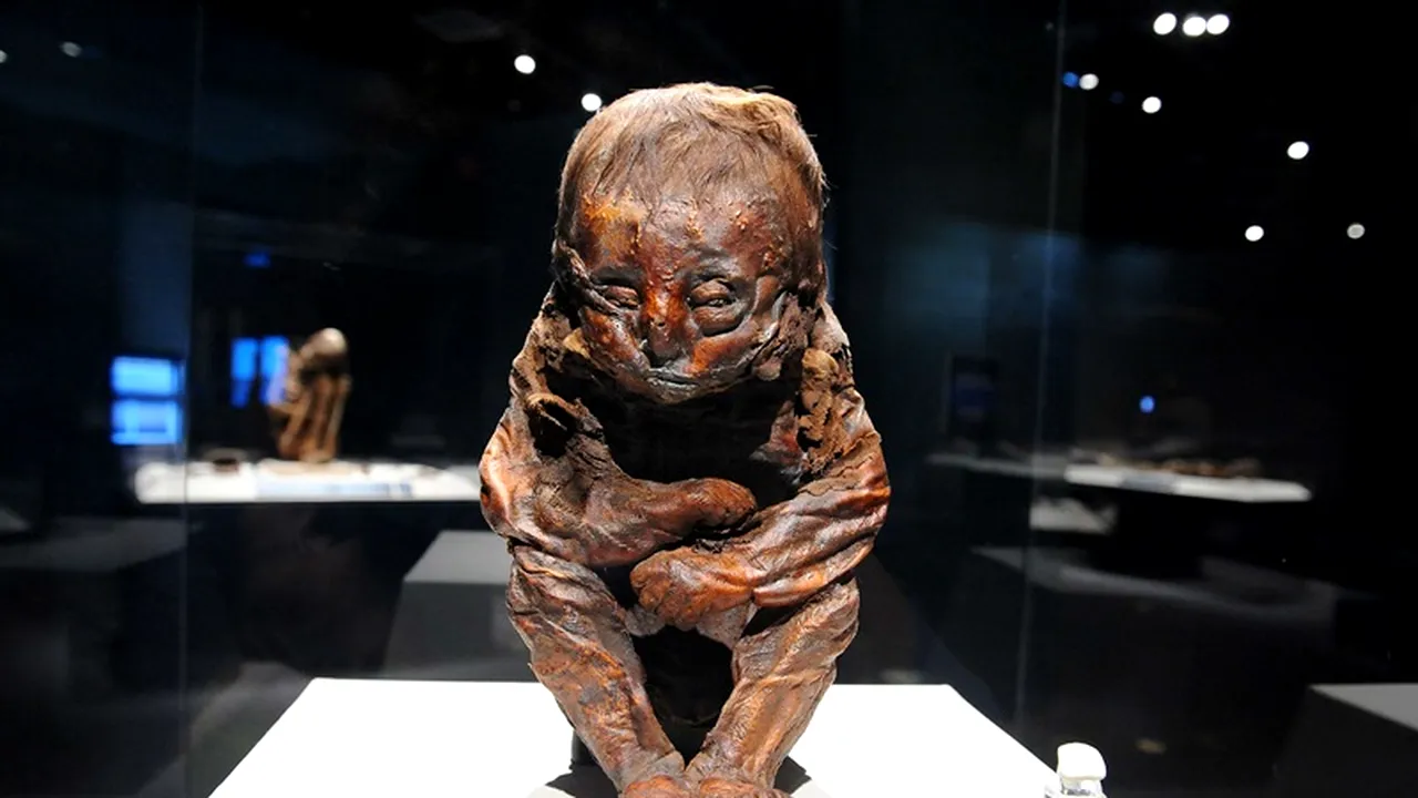 Ce mâncau oamenii în urmă cu 2.000 de ani. Descoperirea care ar putea schimba tot ce știam despre strămoșii noștri