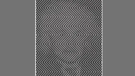 Iluzia optică virală de joi | Ce mare personalitate se ascunde în spatele acestei imagini?