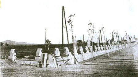 Masacrul din Gara Bartolomeu: 250 de români și-au pierdut viața în 1916, iar peste osemintele lor comuniștii au turnat o șosea